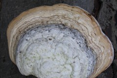 IMG_3770-ctverec-barva